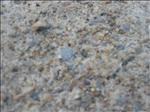 Sweden 2006-04 149